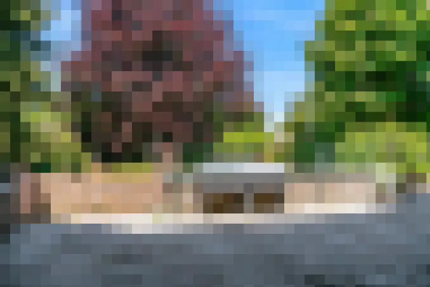 Kerkstraat 23 A Born thumbnail 28