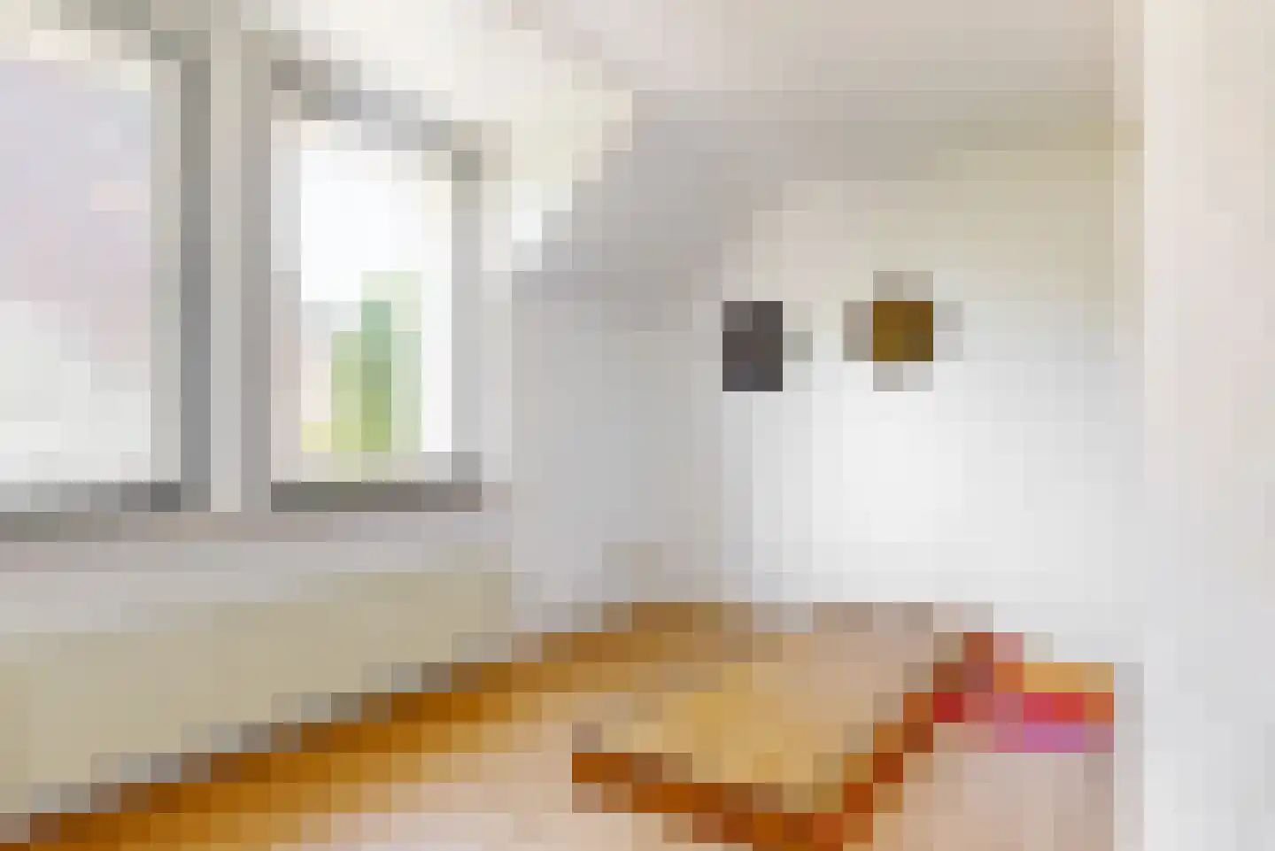 Kerkstraat 23 A Born thumbnail 42