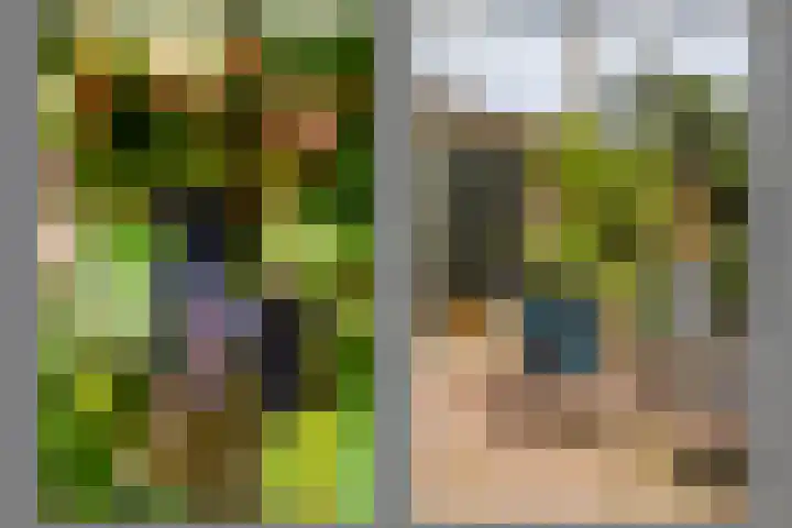 Kerkstraat 23 Appeltern thumbnail 106