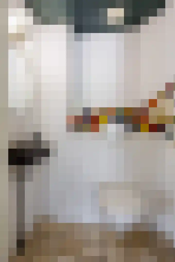 Kerkstraat 23 Appeltern thumbnail 32