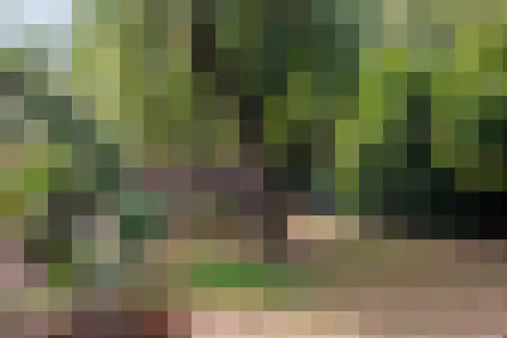 Kerkstraat 23 Appeltern thumbnail 58