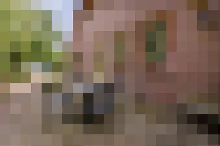 Kerkstraat 23 Appeltern thumbnail 60