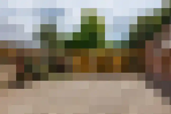 Kerkstraat 23 Appeltern thumbnail 72