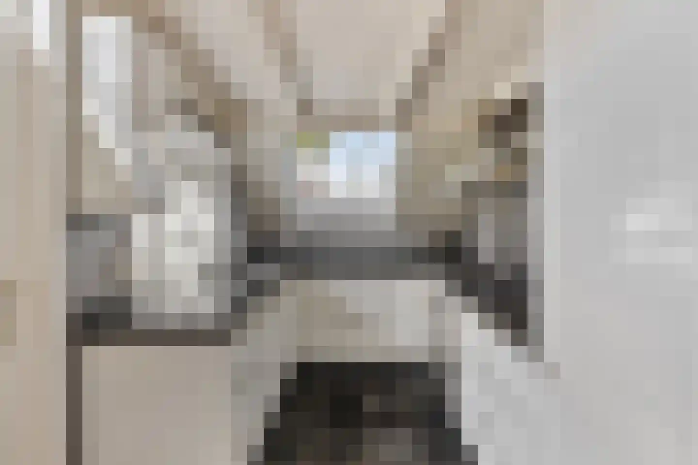 Kerkstraat 23 Lathum thumbnail 16