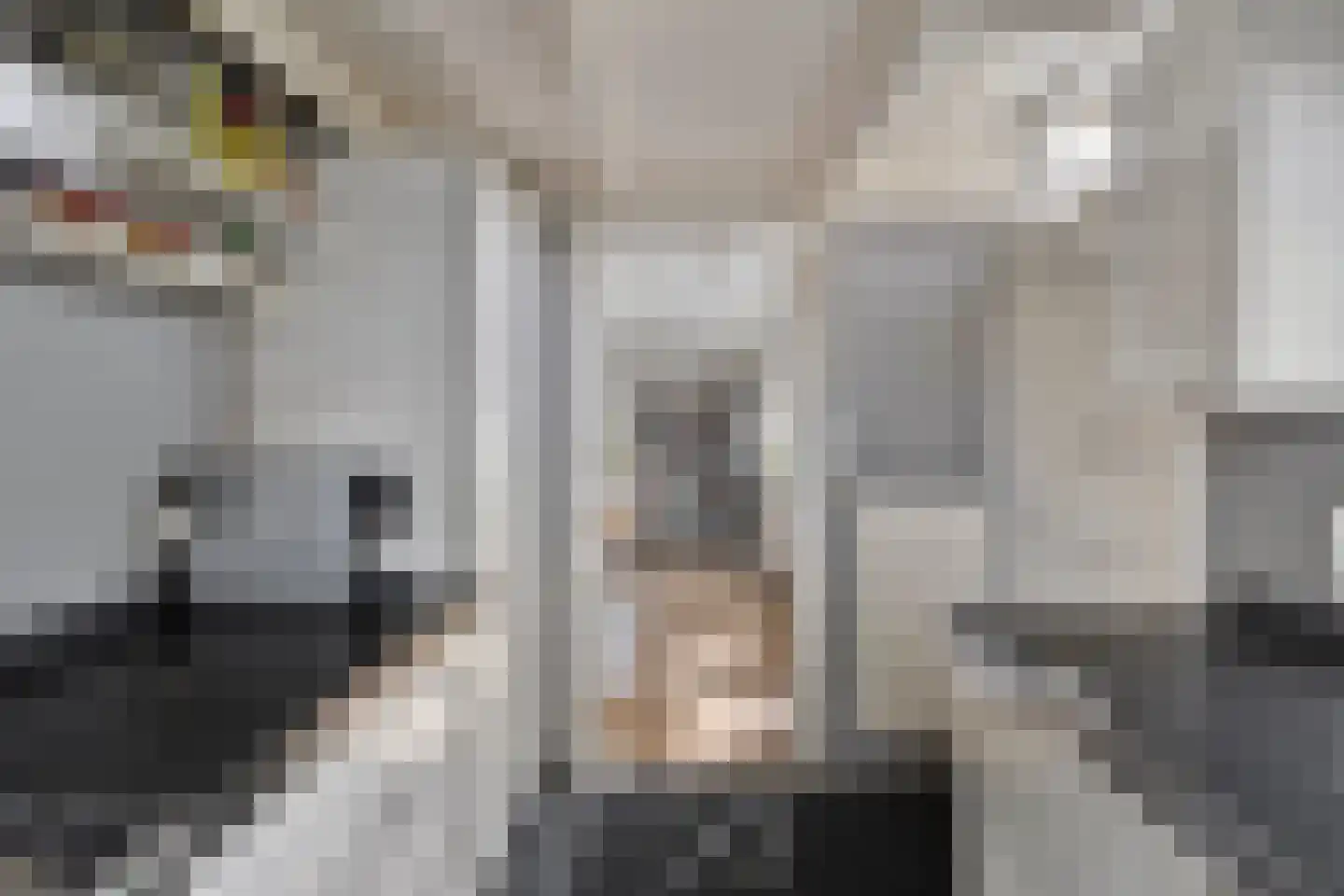 Kerkstraat 23 Lathum thumbnail 17