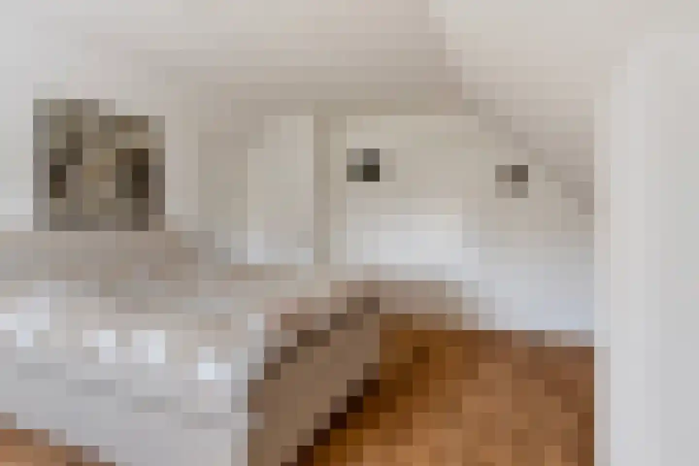 Kerkstraat 23 Lathum thumbnail 23