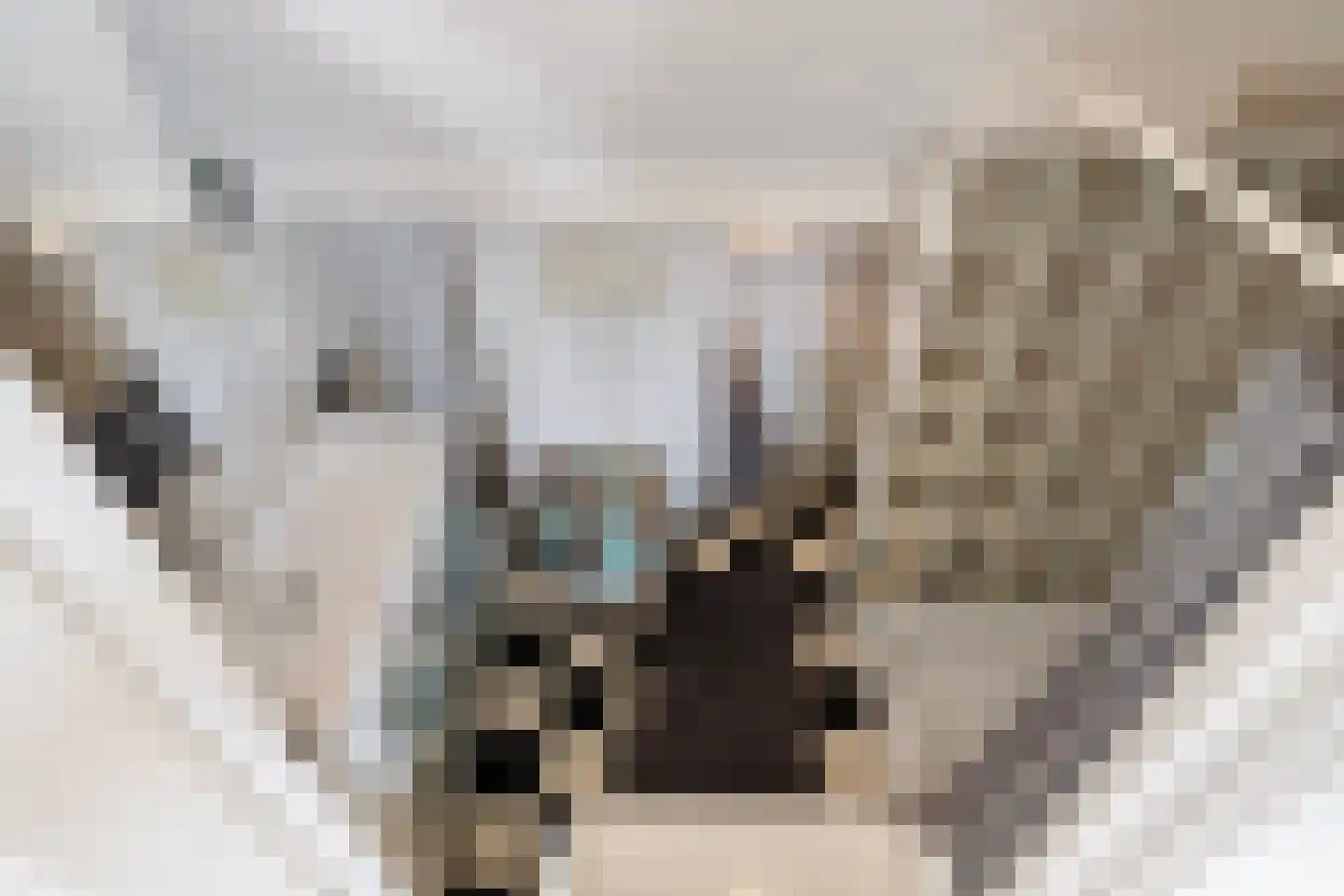 Kerkstraat 23 Lathum thumbnail 27
