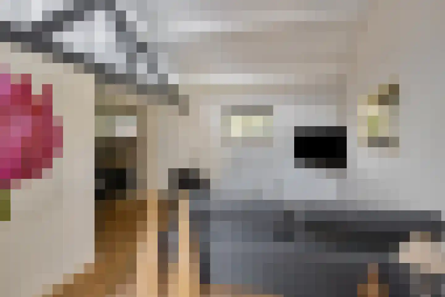 Kerkstraat 23 Lathum thumbnail 28