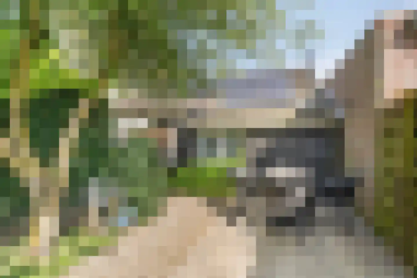 Kerkstraat 23 Lathum thumbnail 32