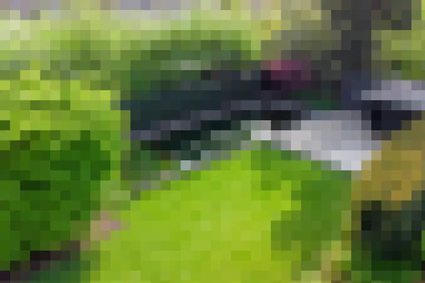 Kerkstraat 23 Lathum thumbnail 33