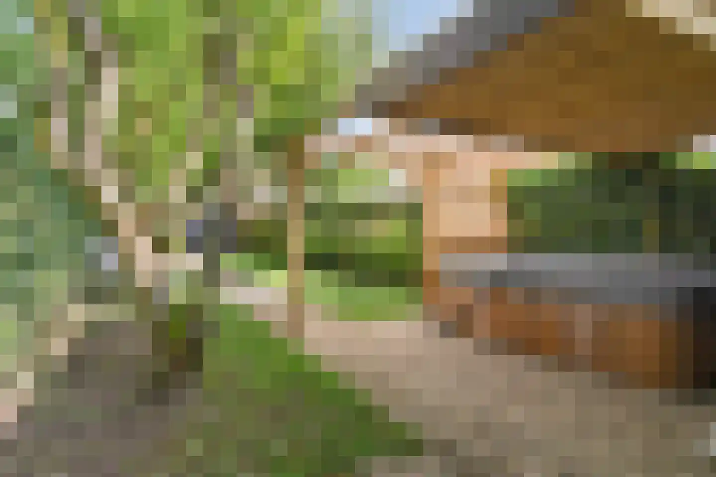 Kerkstraat 23 Lathum thumbnail 34