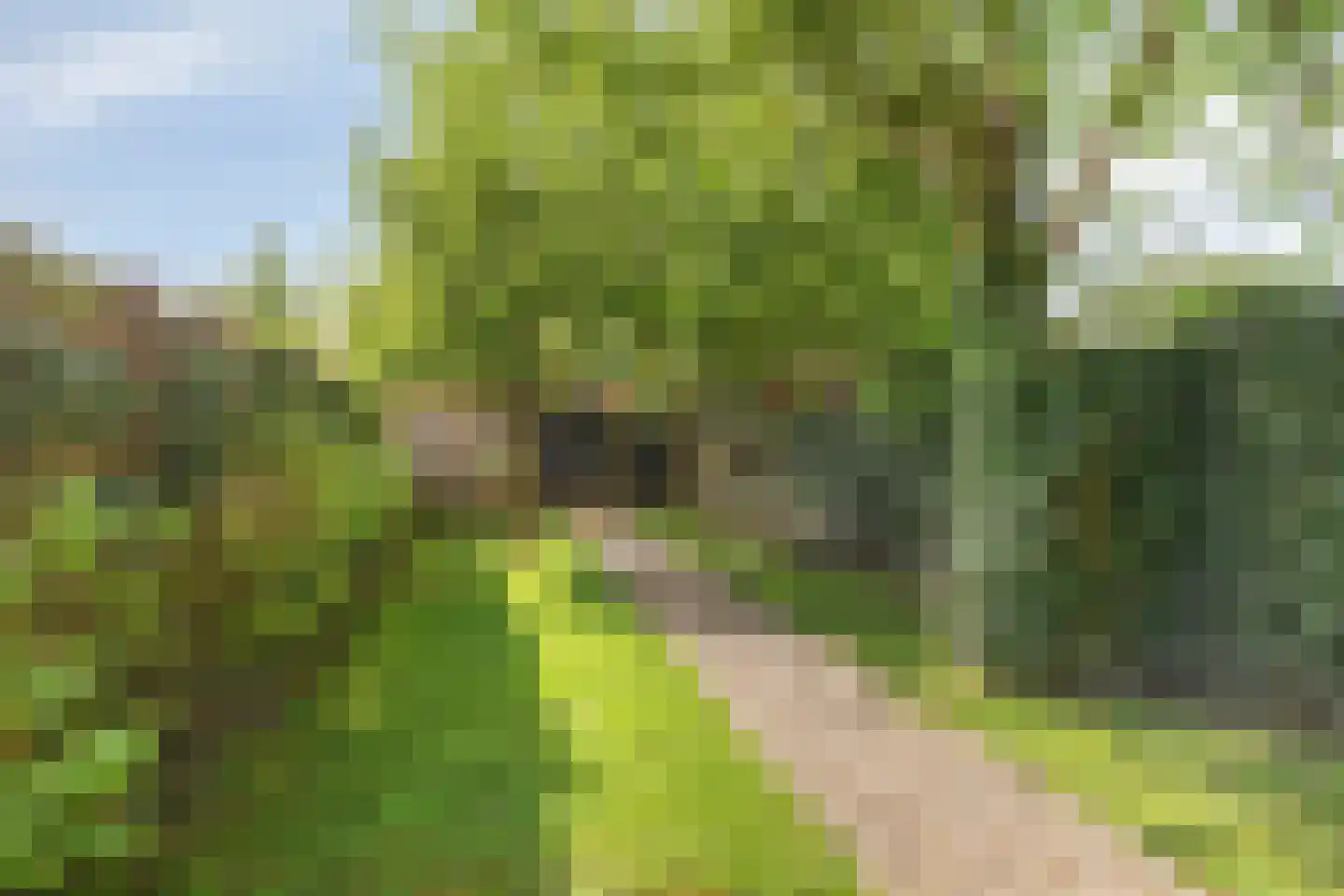 Kerkstraat 23 Lathum thumbnail 35