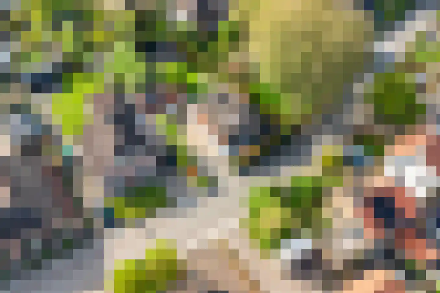Kerkstraat 23 Lathum thumbnail 41