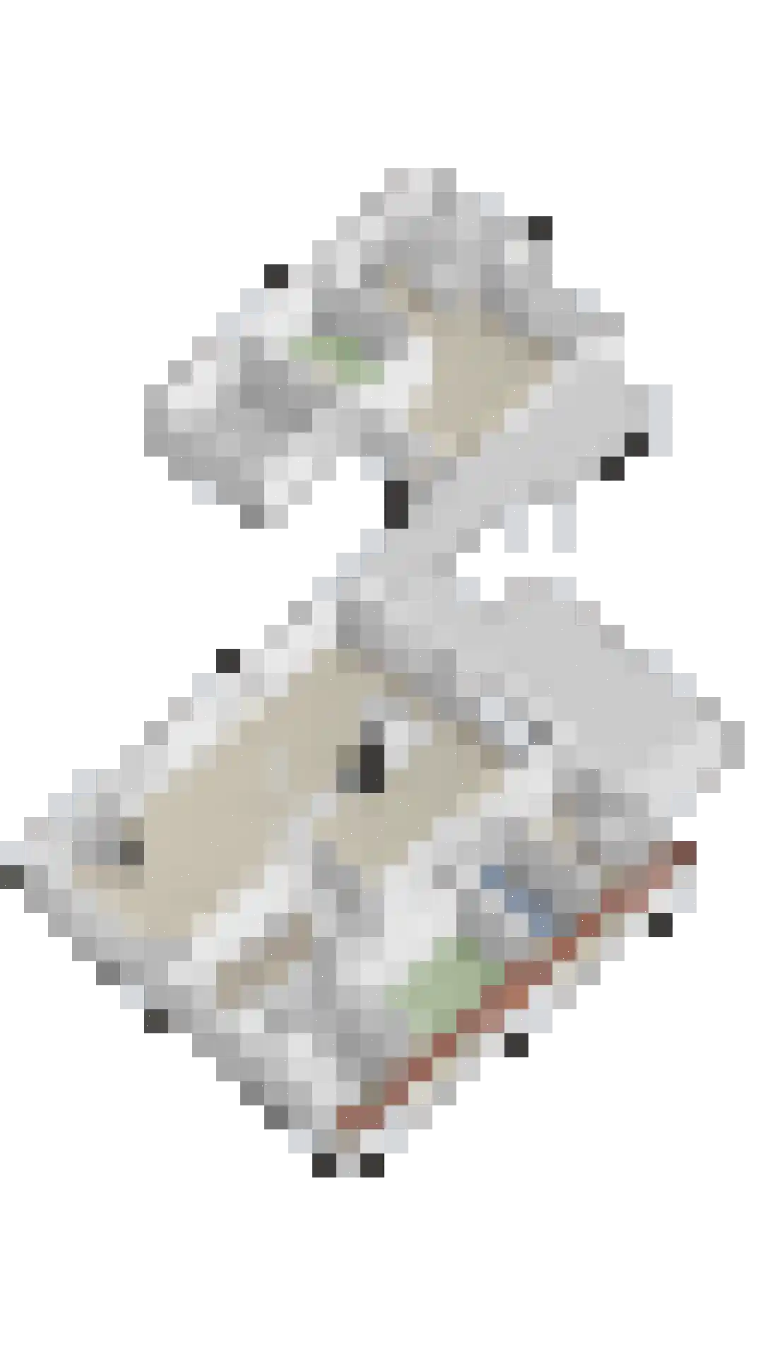 Kerkstraat 23 Lathum thumbnail 48
