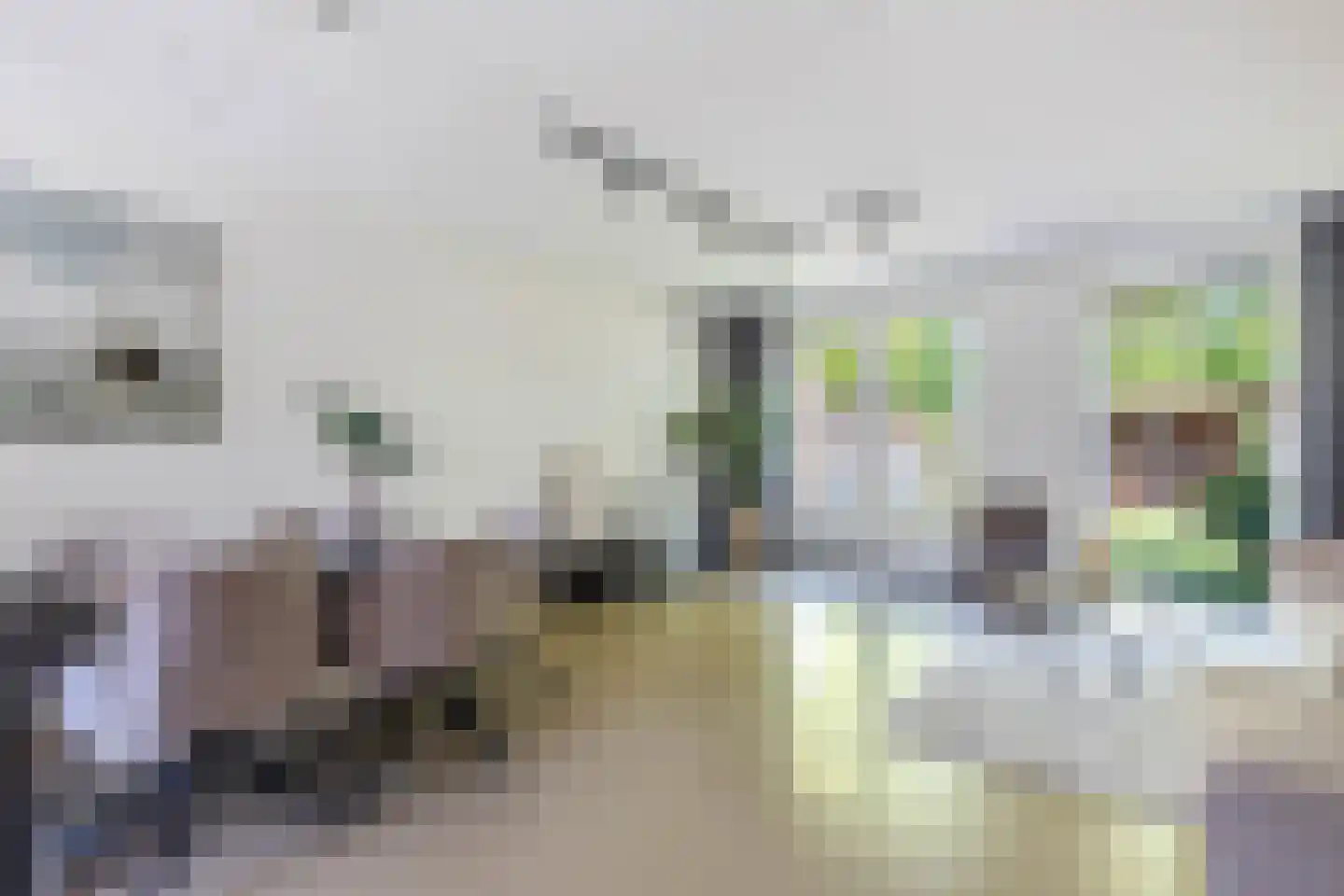Kerkstraat 23 Luttelgeest thumbnail 13
