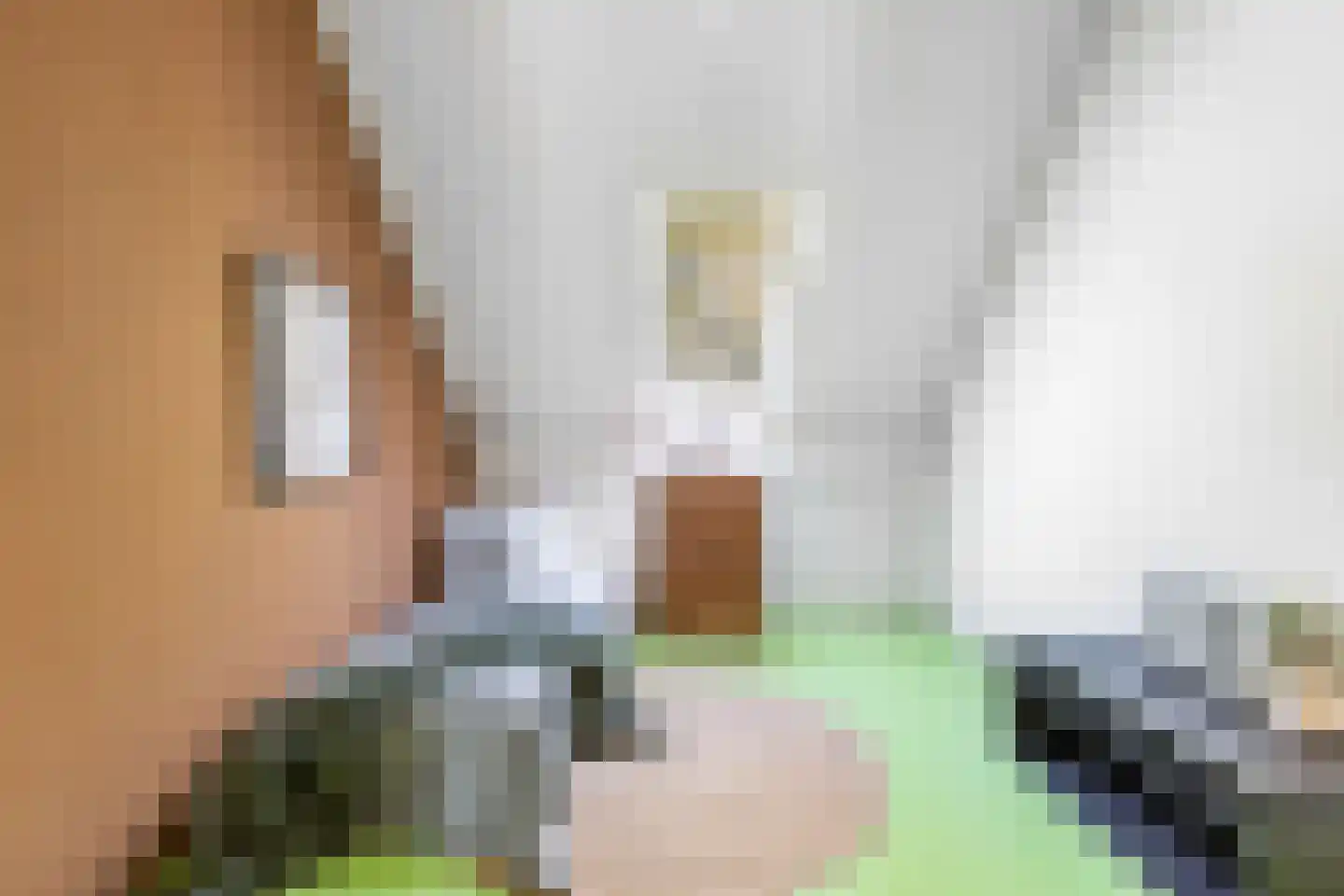 Kerkstraat 23 Luttelgeest thumbnail 31