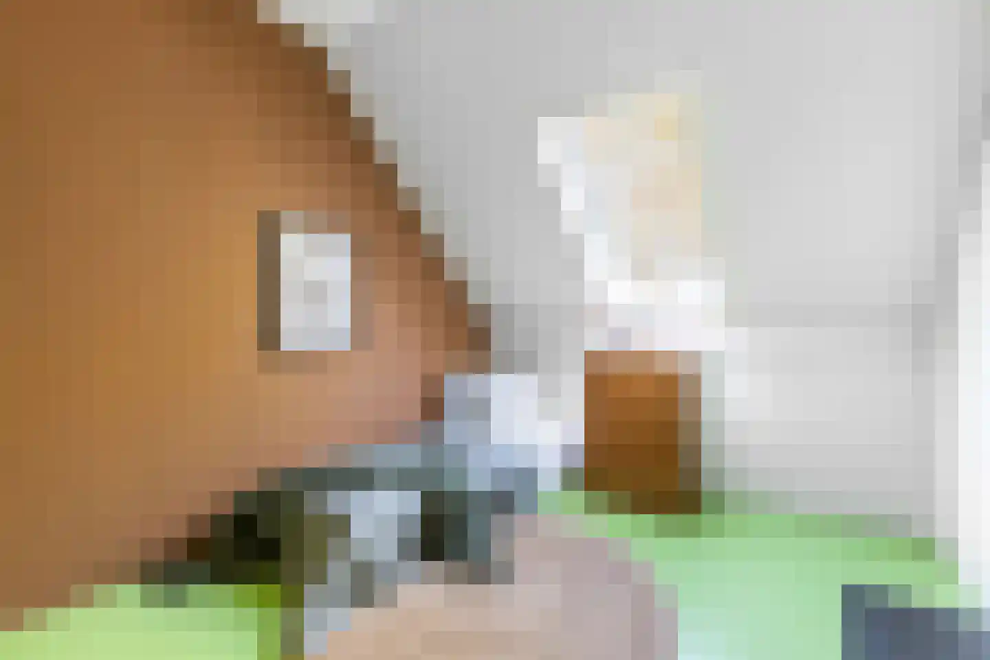 Kerkstraat 23 Luttelgeest thumbnail 32