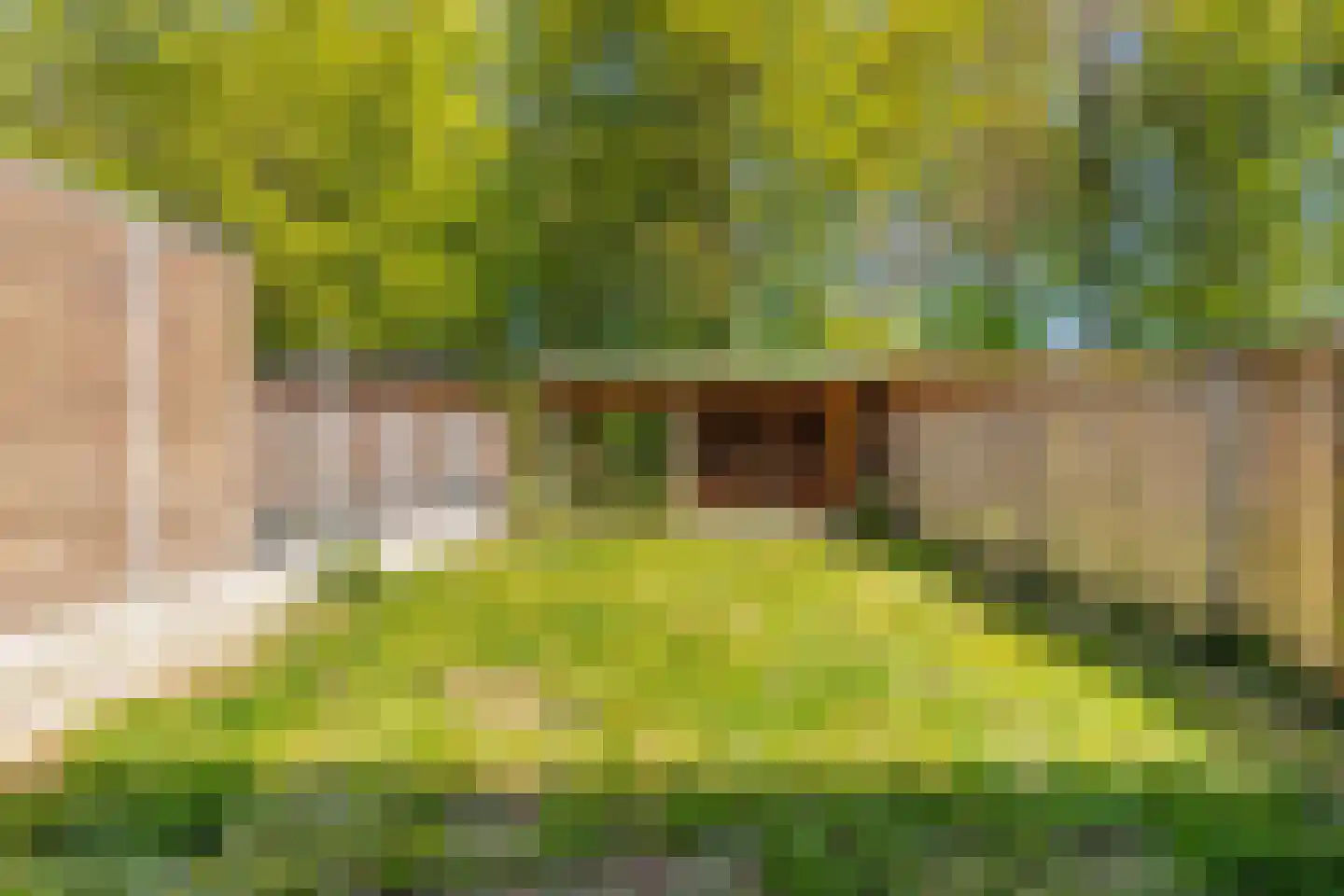 Kerkstraat 23 Luttelgeest thumbnail 41