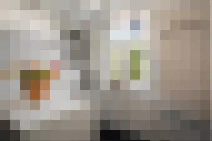 Kerkstraat 23 Vorden thumbnail 12