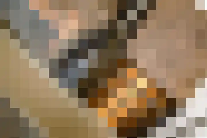 Kerkstraat 23 Vorden thumbnail 20