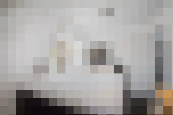 Kerkstraat 23 Vorden thumbnail 28