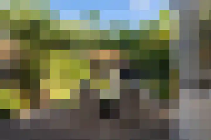 Kerkstraat 23 Vorden thumbnail 32