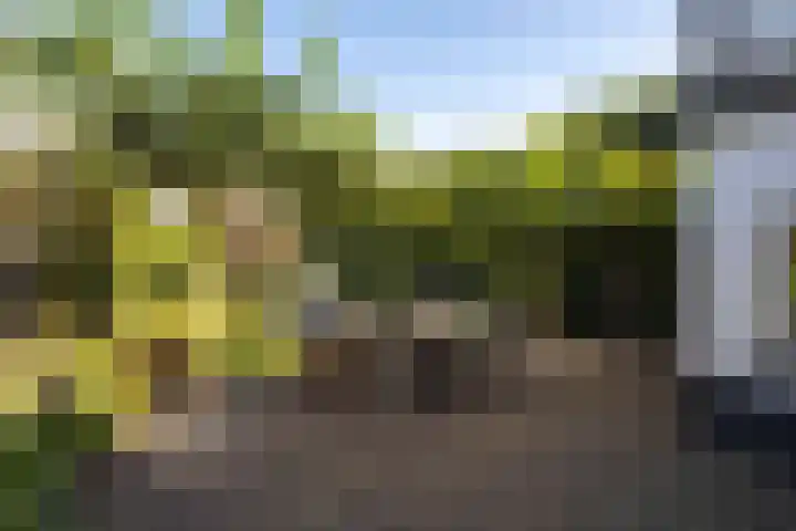 Kerkstraat 23 Vorden thumbnail 33