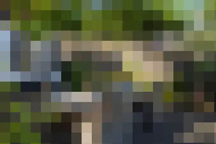 Kerkstraat 23 Vorden thumbnail 34