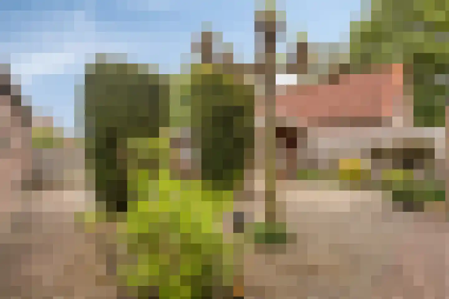 Kerkstraat 23 Wapenveld thumbnail 31