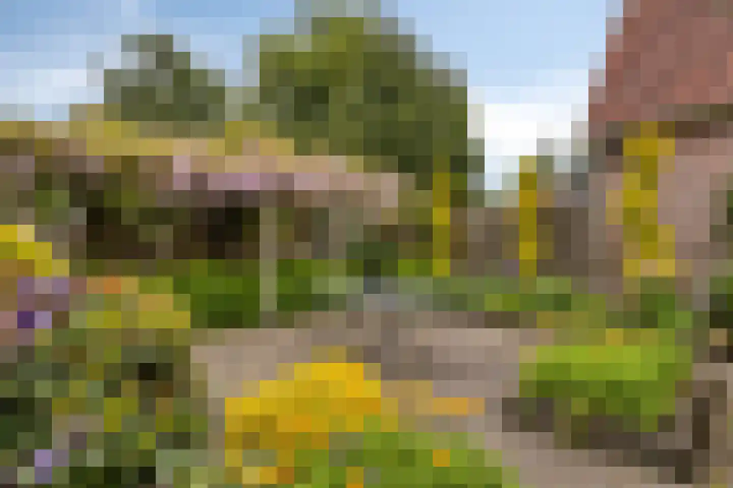 Kerkstraat 23 Wapenveld thumbnail 39