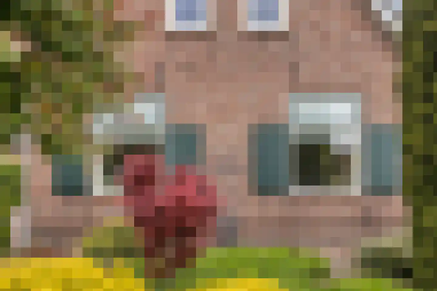 Kerkstraat 23 Wapenveld thumbnail 46