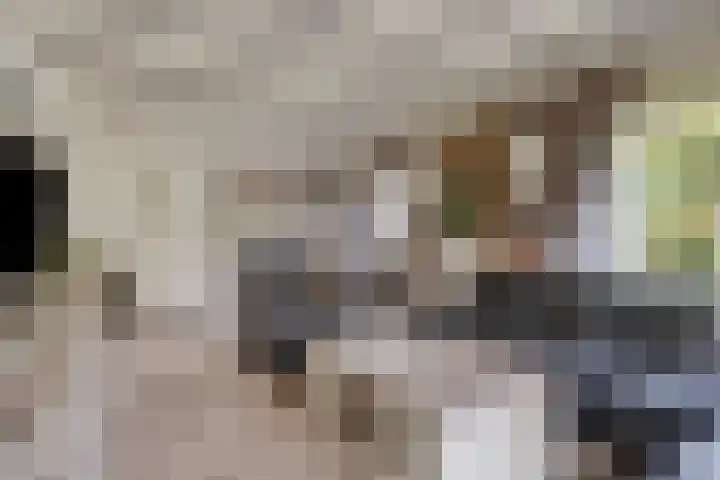 Kerkstraat 236 Gaanderen thumbnail 10