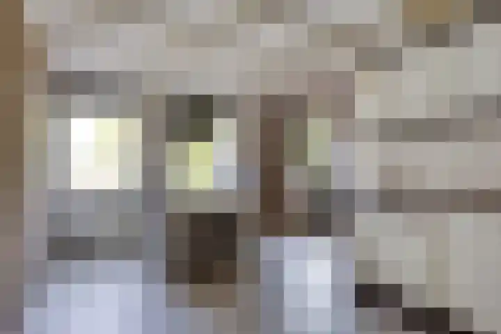 Kerkstraat 236 Gaanderen thumbnail 13