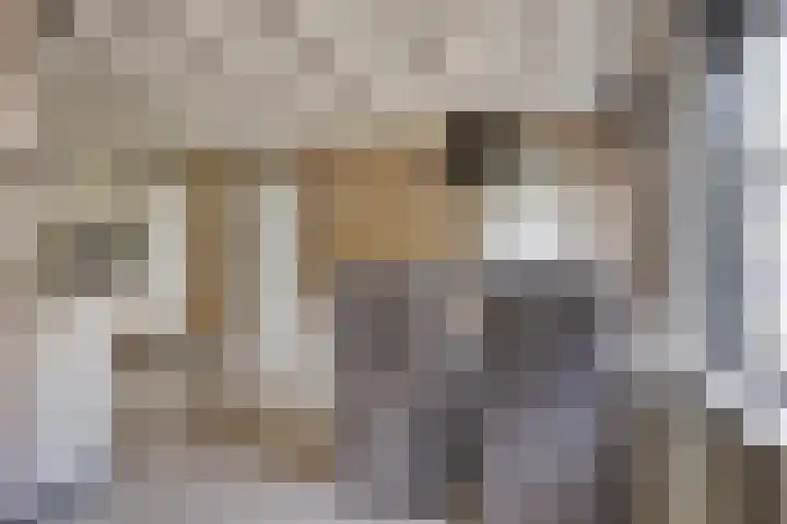 Kerkstraat 236 Gaanderen thumbnail 15