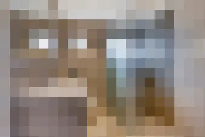 Kerkstraat 236 Gaanderen thumbnail 18