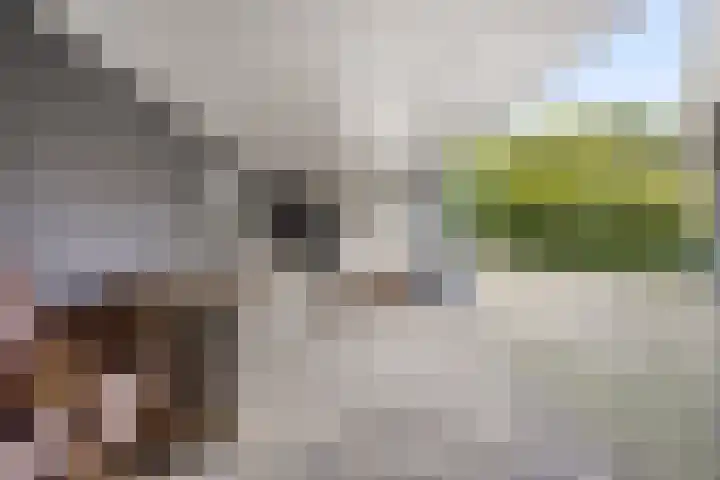Kerkstraat 236 Gaanderen thumbnail 34