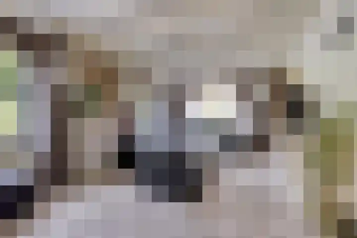 Kerkstraat 236 Gaanderen thumbnail 9