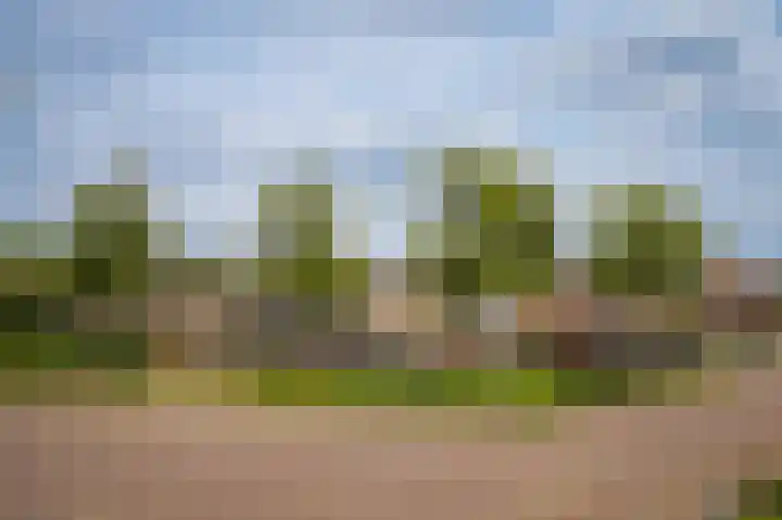 Kerkstraat 24 Altforst thumbnail 40