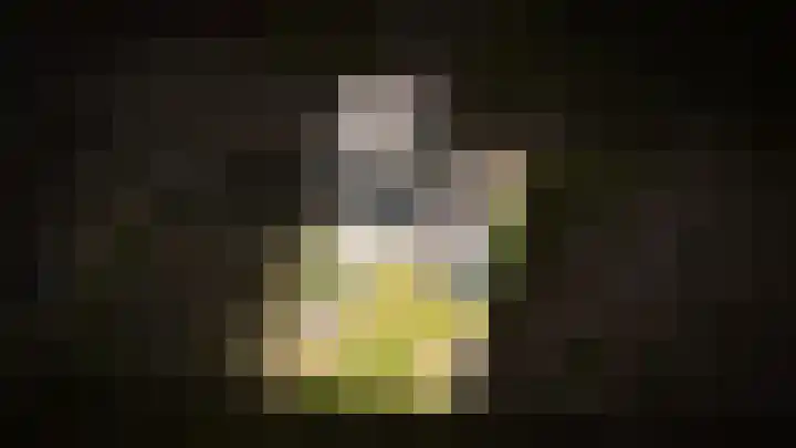 Kerkstraat 24 Altforst thumbnail 42