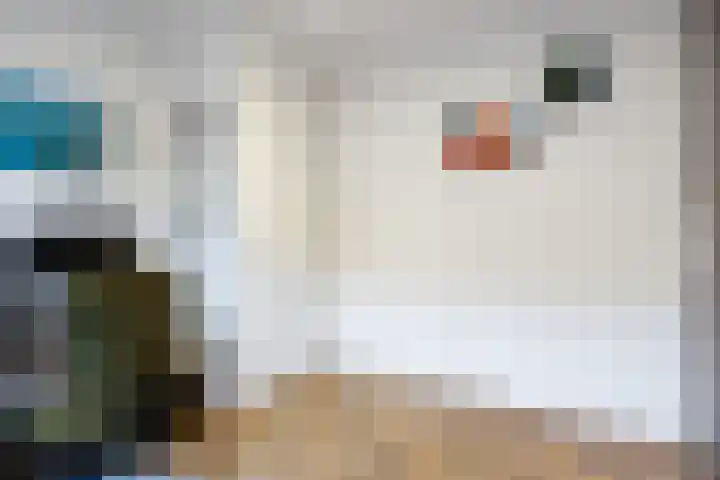 Kerkstraat 24 Middelstum thumbnail 31