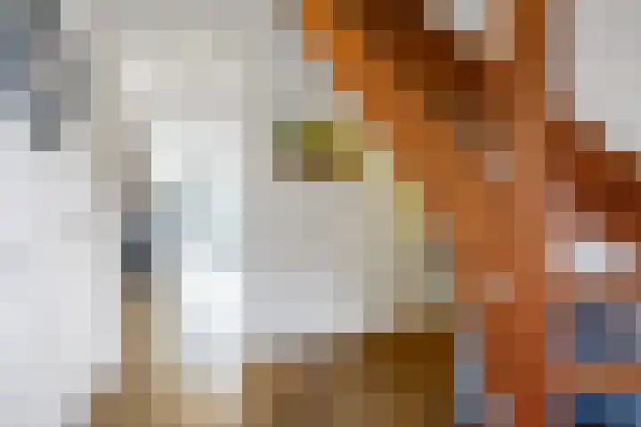 Kerkstraat 24 Middelstum thumbnail 8