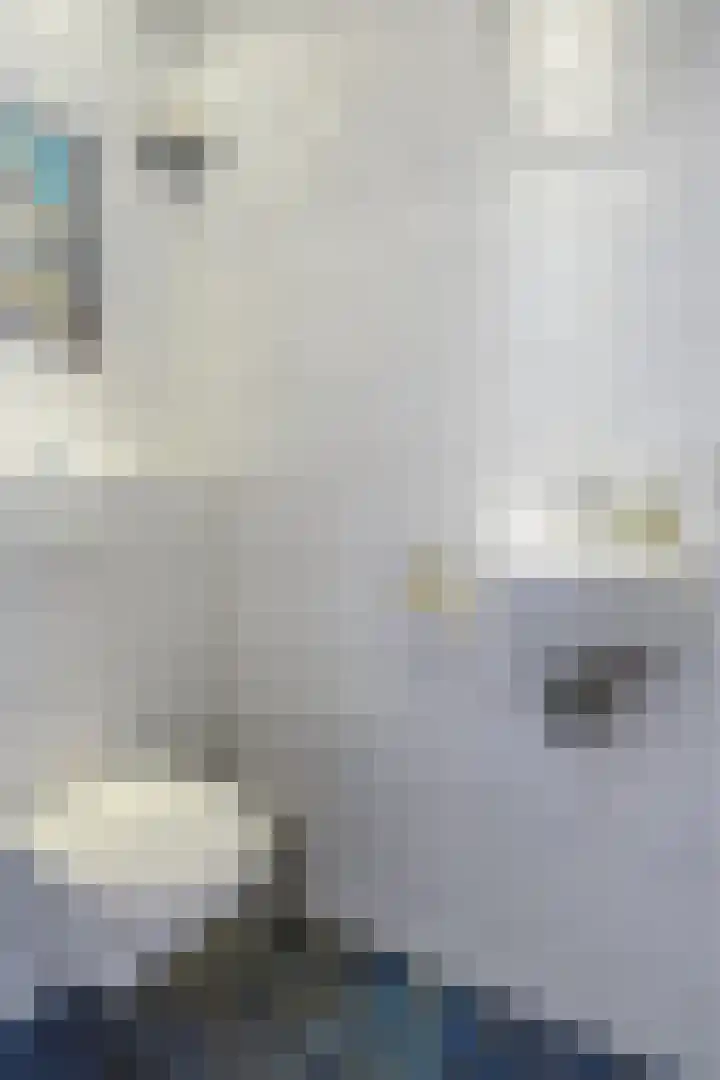 Kerkstraat 24 Middelstum thumbnail 9