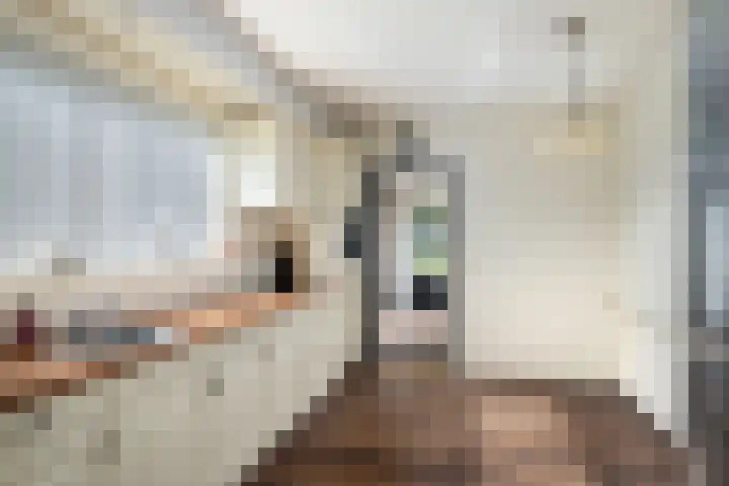Kerkstraat 24 Nieuw-Beijerland thumbnail 13