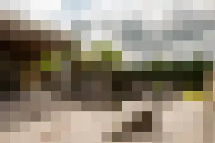 Kerkstraat 24 Ossendrecht thumbnail 33