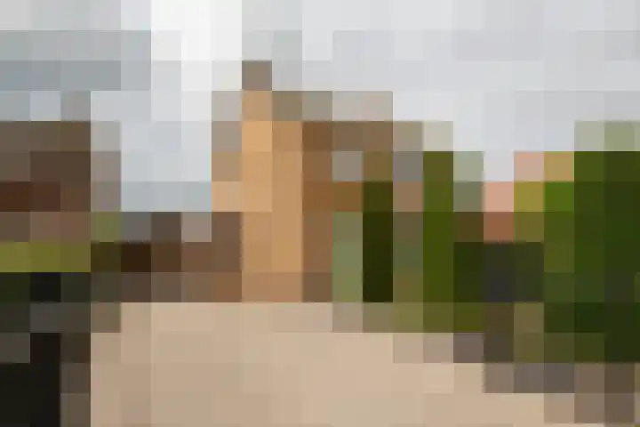 Kerkstraat 24 Ossendrecht thumbnail 43
