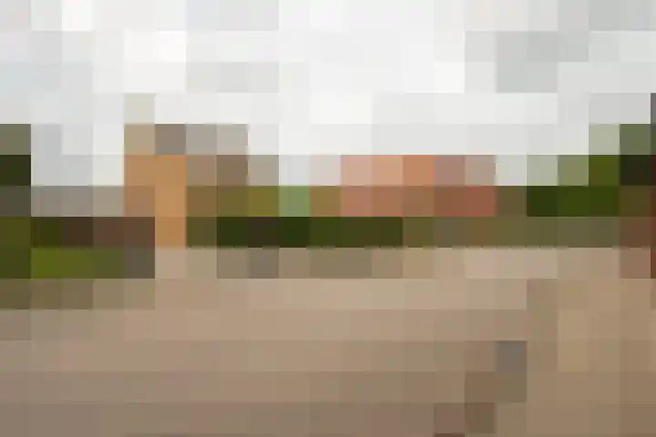 Kerkstraat 24 Ossendrecht thumbnail 45