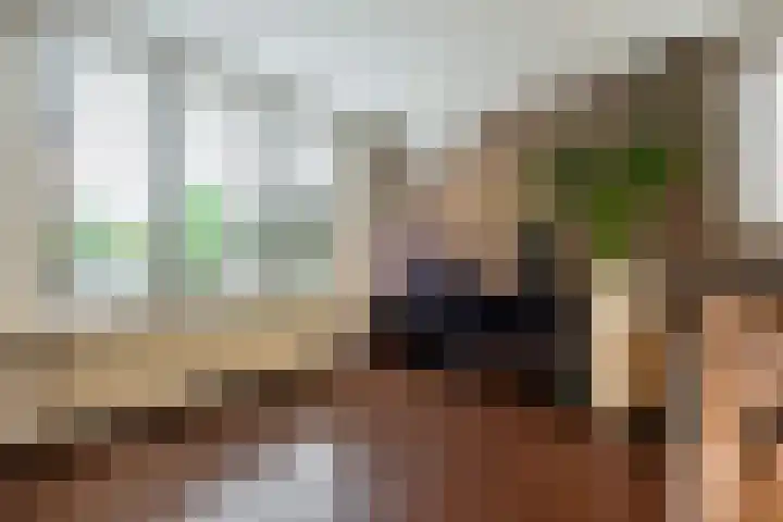 Kerkstraat 24 Ossendrecht thumbnail 9