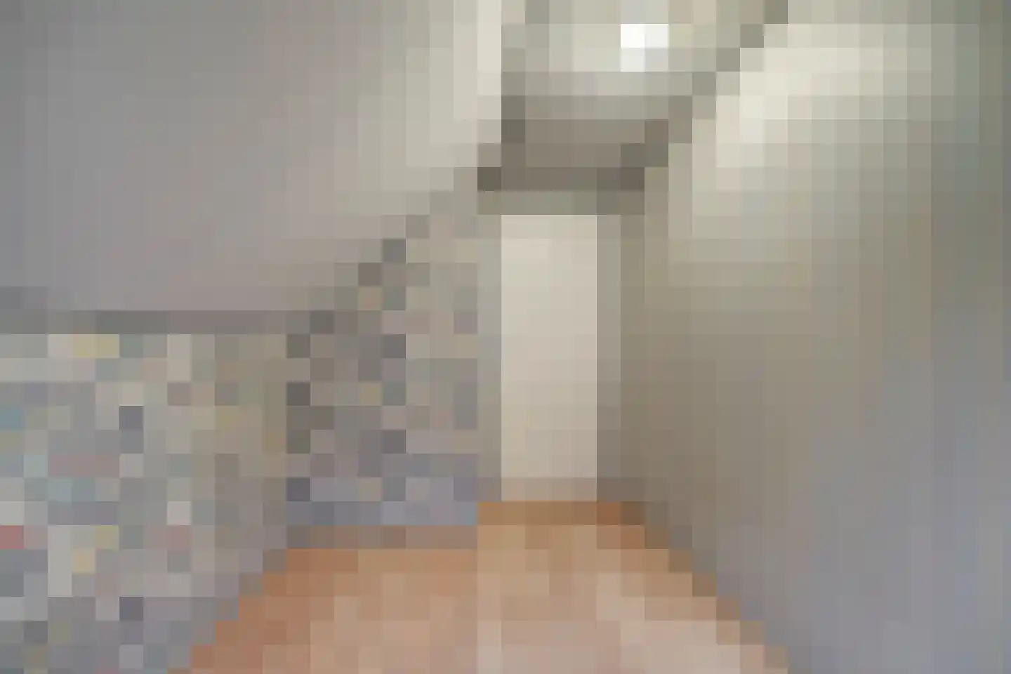 Kerkstraat 24 Vollenhove thumbnail 21