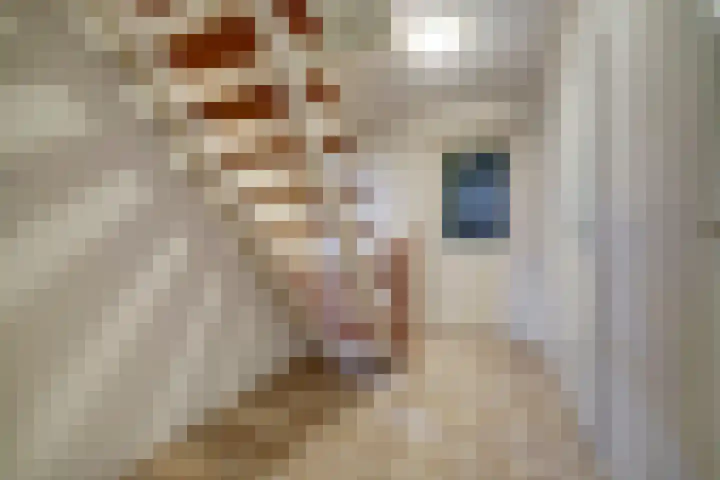 Kerkstraat 24 Vollenhove thumbnail 29