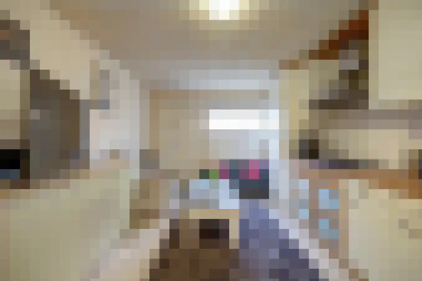 Kerkstraat 24 Vollenhove thumbnail 38